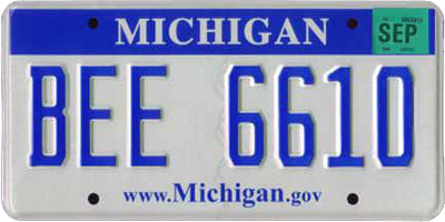 current michigan license plate tag color